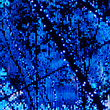 イルミネーションの写真